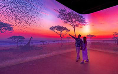 A couple walks through an immersive room with the African savannah at sunset projected onto the walls.